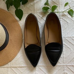 Everlane Modern Point Shoe